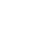 NEW MEDIA